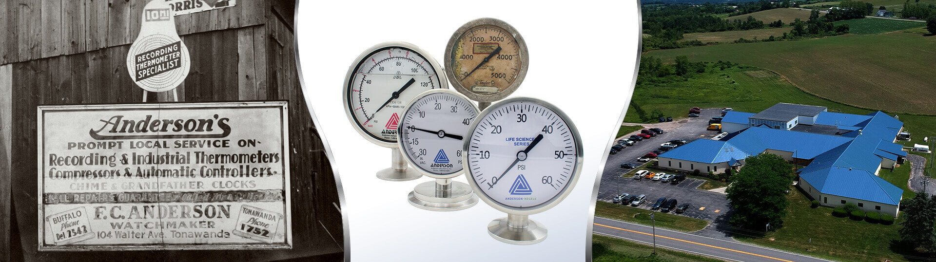 Milestones - Anderson Negele